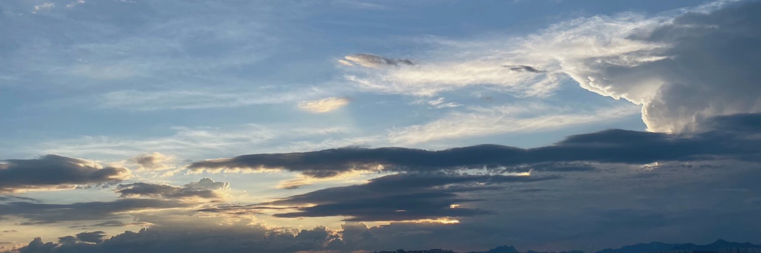 𓃹's banner