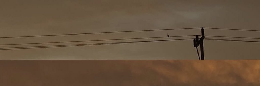 الجادِيّ's banner