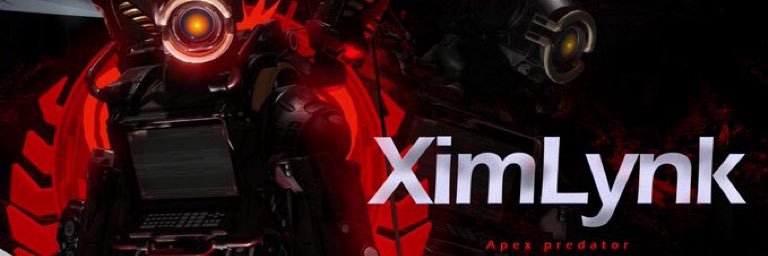 Lynk's banner