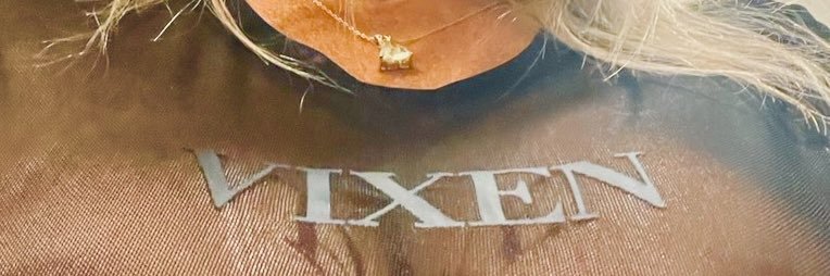 LEXI's banner