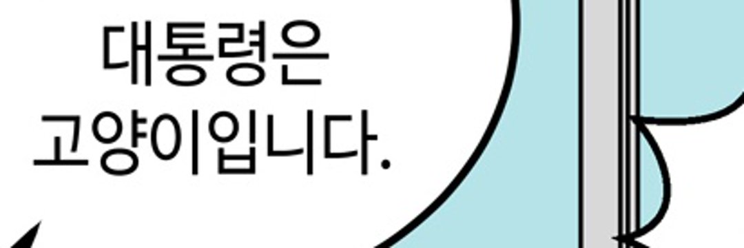 구찌's banner