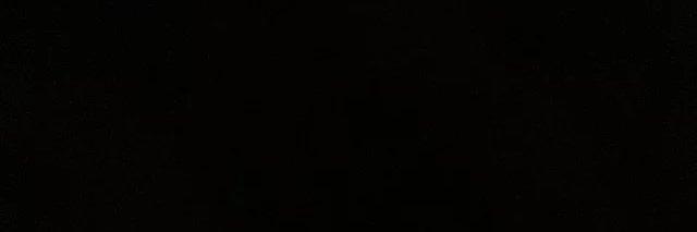 Shyy's banner