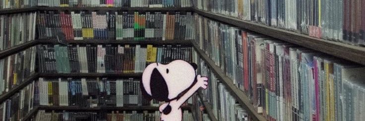 ava's banner