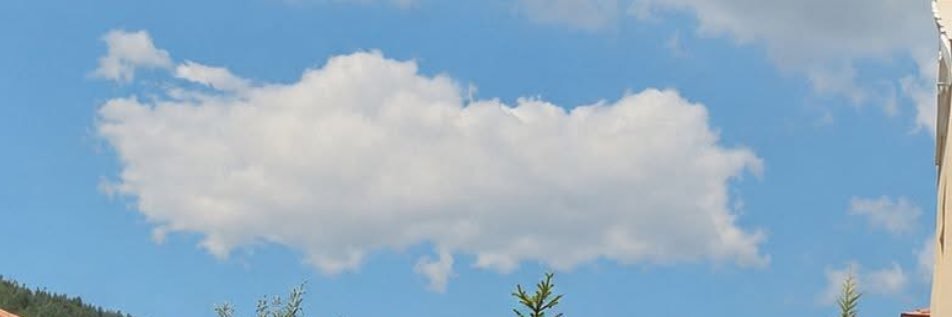 t.almina🌸's banner
