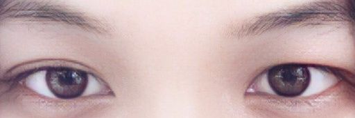 Noelle Silva🌹🌹's banner