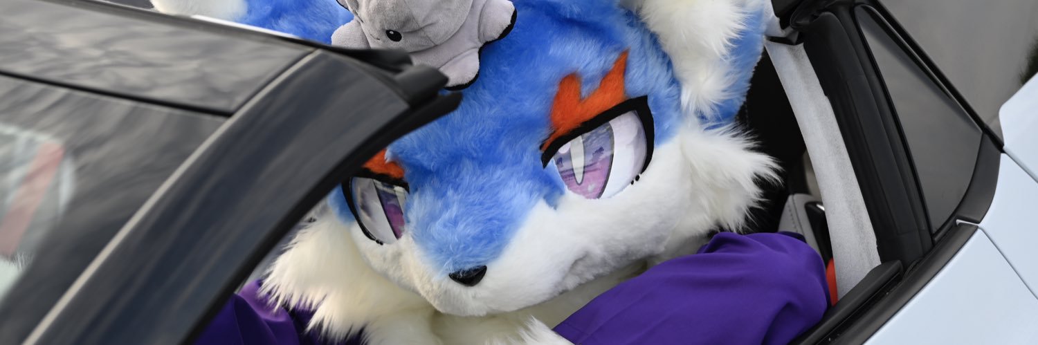 RagdollMeow's banner