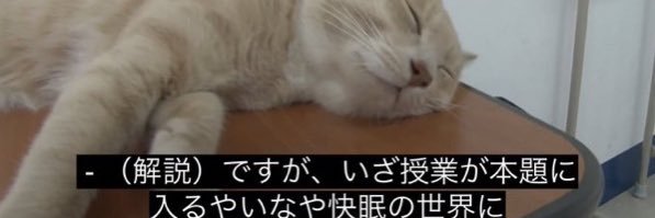 じんしゃん's banner