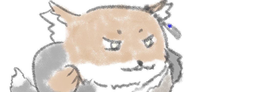チベスナ🦊⌛配信者's banner