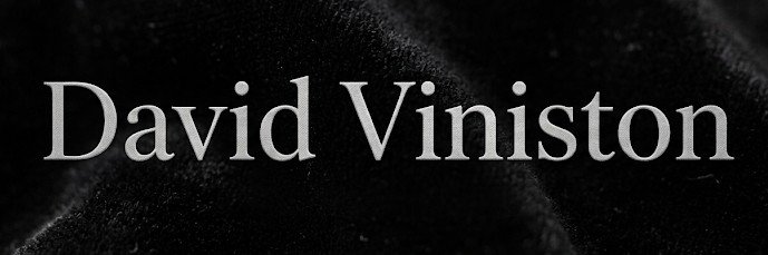 David Viniston's banner