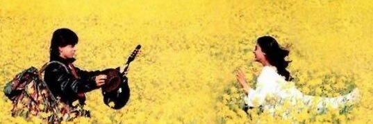 •^•^'s banner