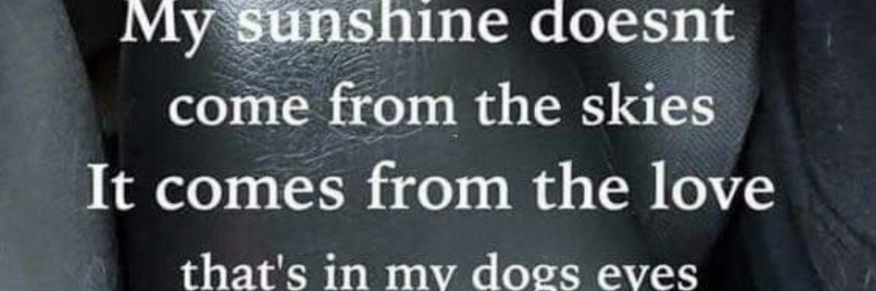 For the Love of Dogs❤️🐶❤️🌹's banner
