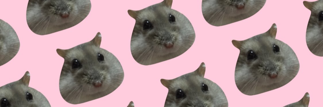ハムスターちゃんねる's banner