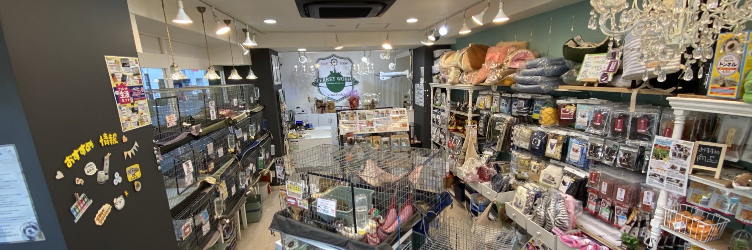 フェレットワールドみなとみらい店's banner