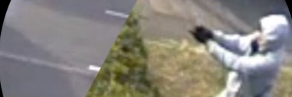WALKEMDOWNCLIPS1's banner