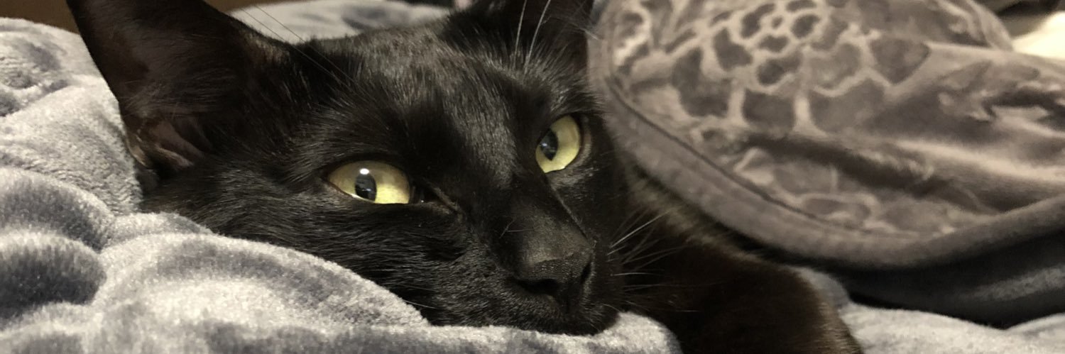 黒猫のリヴァイ's banner