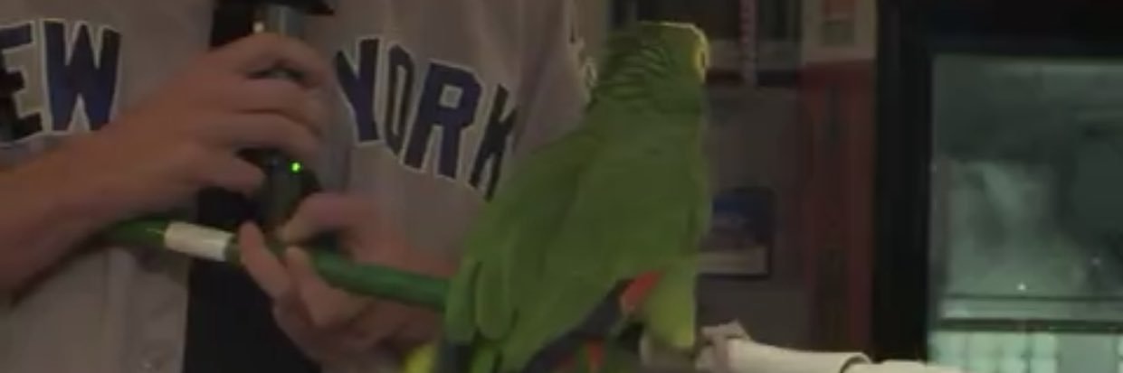 Marty Mush's banner