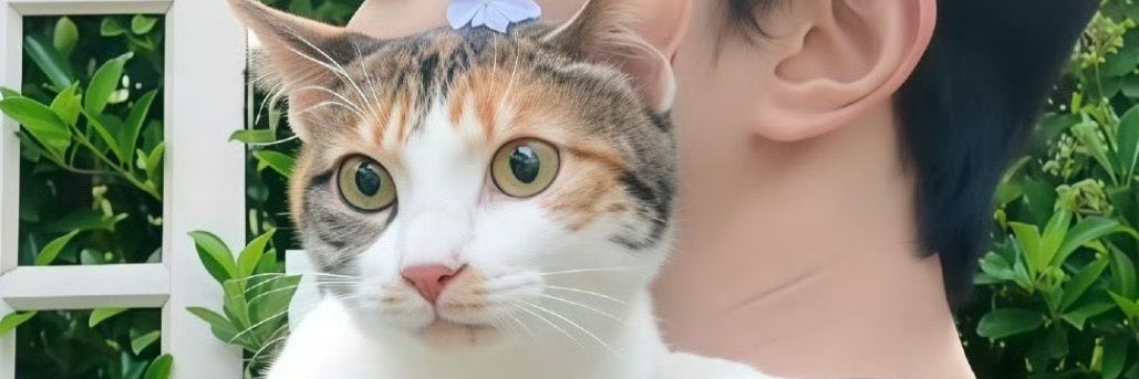 NuNa 🐾🐅's banner