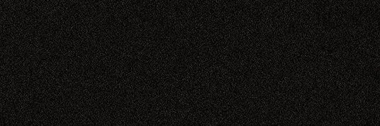 THE RAPANTS's banner