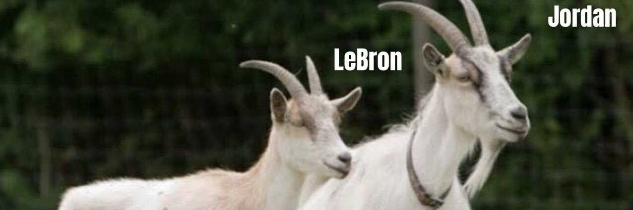GOAT Br ™ 🏀🐐's banner
