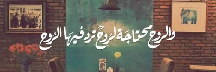 ولاء ابراهيم's banner