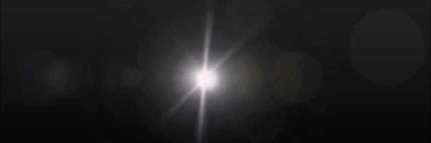 フッカー総統's banner