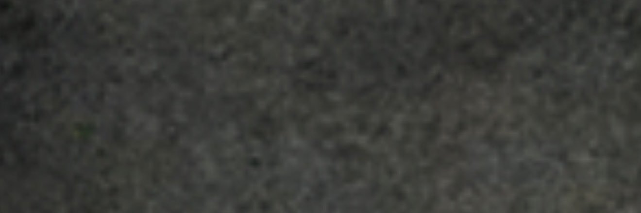 Charli's banner