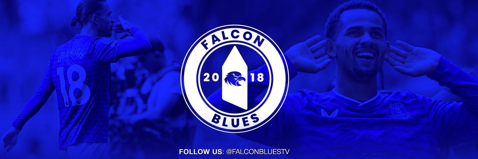 Falcon Blues TV's banner