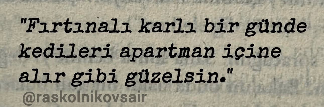 Arzu🇹🇷's banner