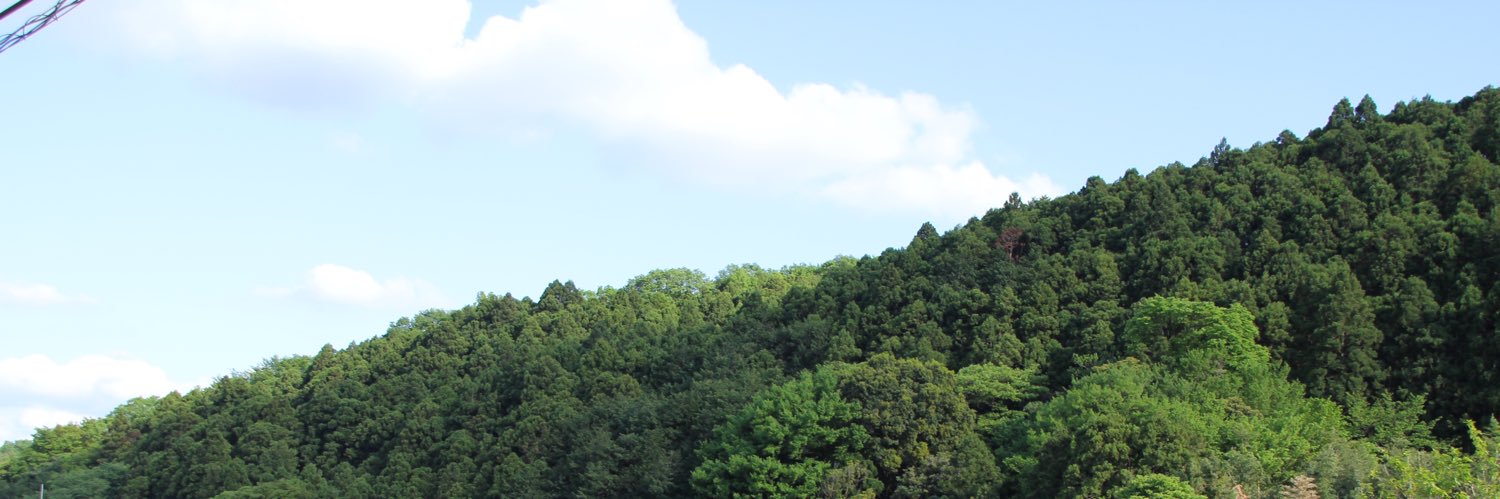 nmsn's banner