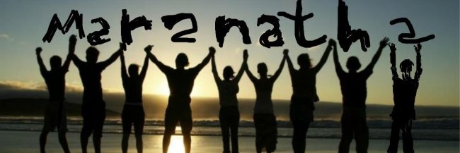MIS AMIGOS DE 4 PATAS :)'s banner
