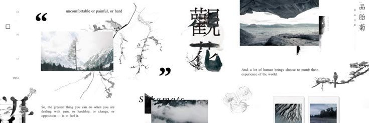 pudim's banner