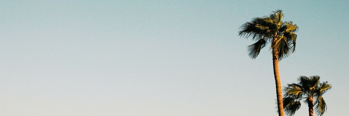 carlos 🧃's banner