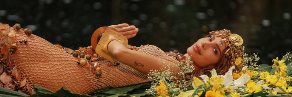 a verdadeira anitta's banner