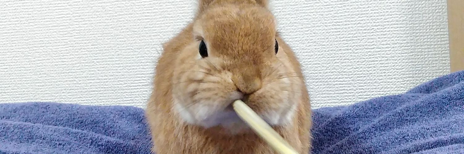 ラテ🐰レチェ🐱's banner