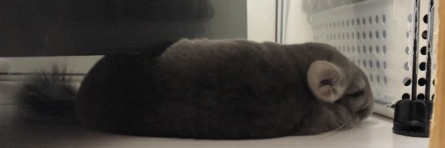 優と想（ゆう&そう）'s banner