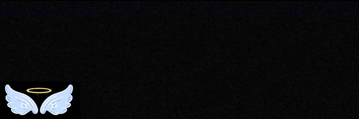 d u d e x's banner