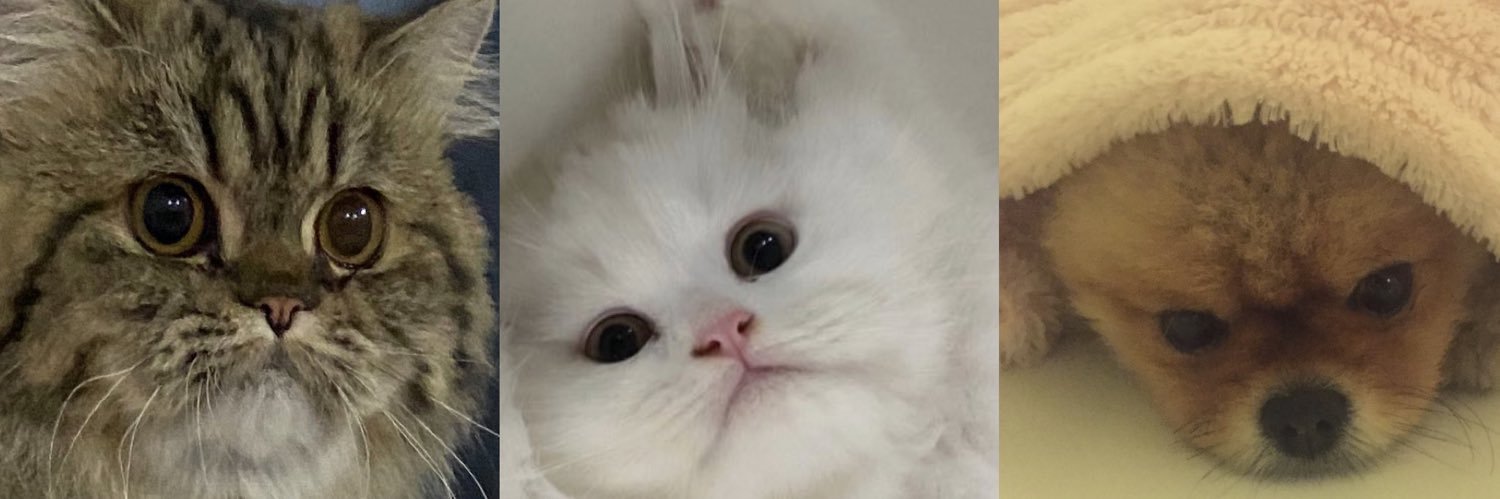 นีนี่ฮุนฮุนเป็นน้องพี่หมี🐻🐱's banner