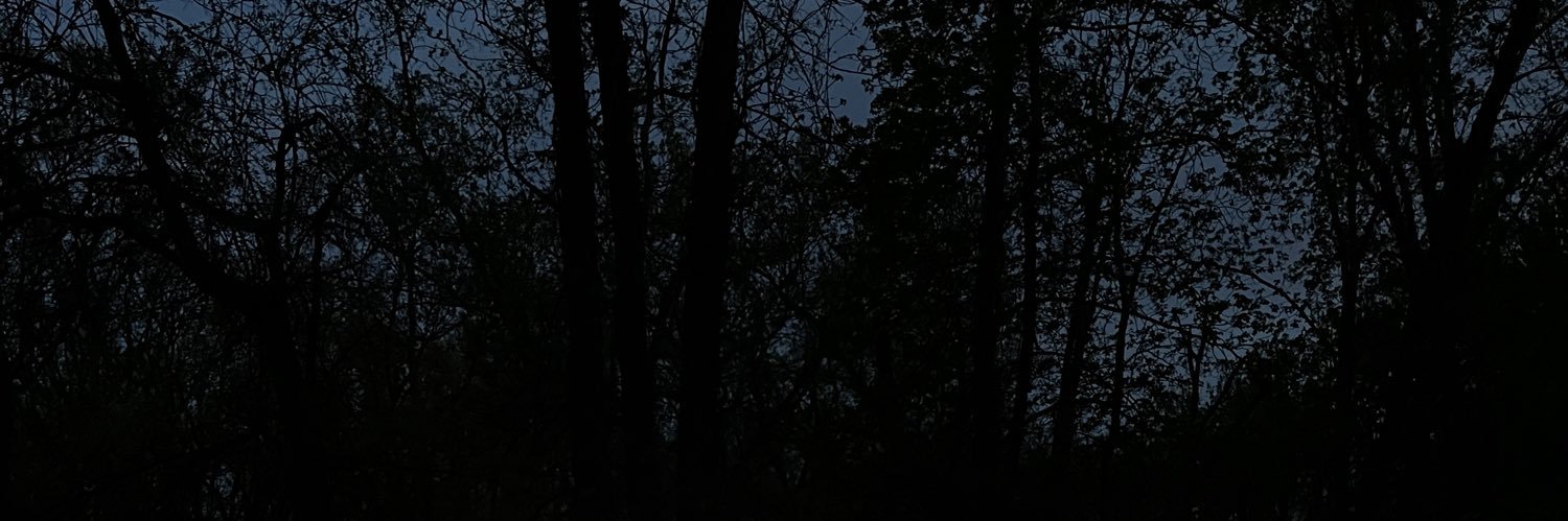 gabe minaj🦄's banner