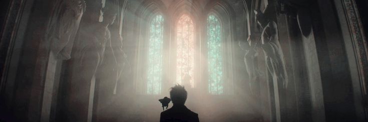 Daan's banner