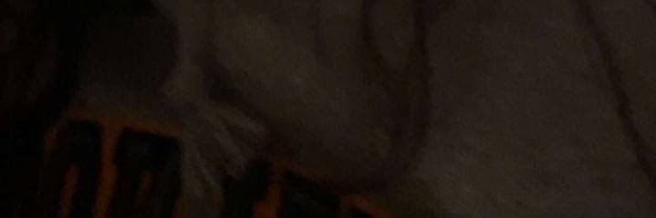 izabelle's banner