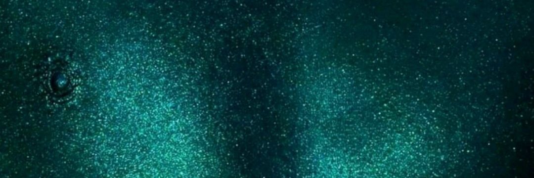 Permatrago's banner