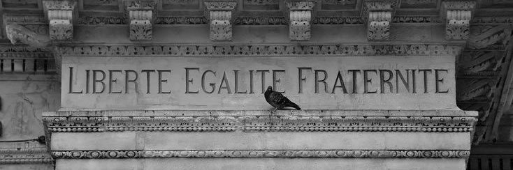 emir🇺🇳's banner