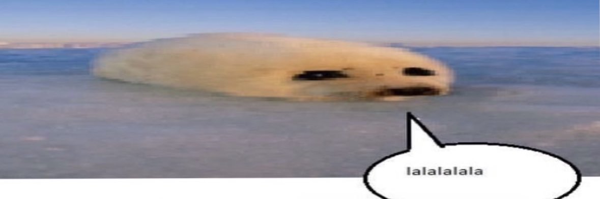ori 🪲's banner