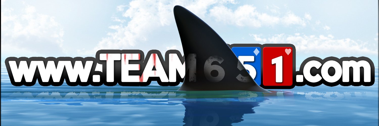 Team 651's banner