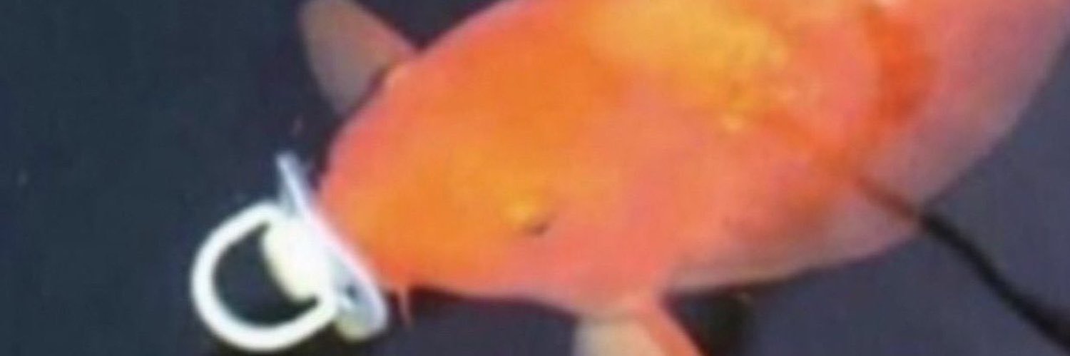 sus fishy's banner
