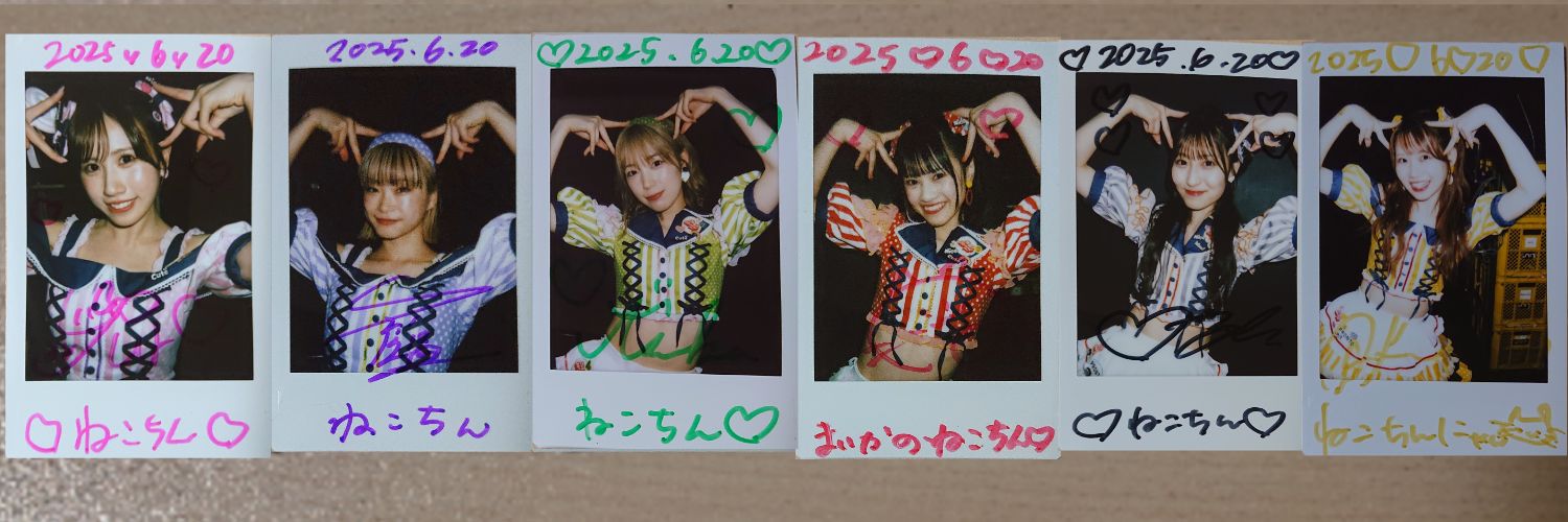 ねこちん🐾's banner