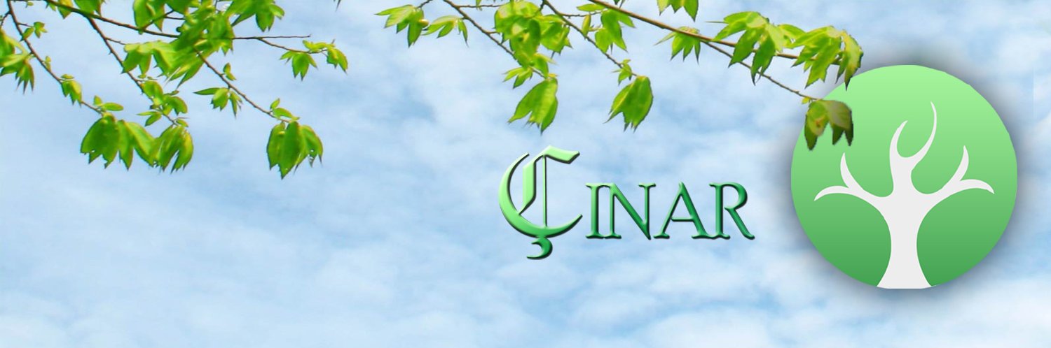 Çınar Medya's banner