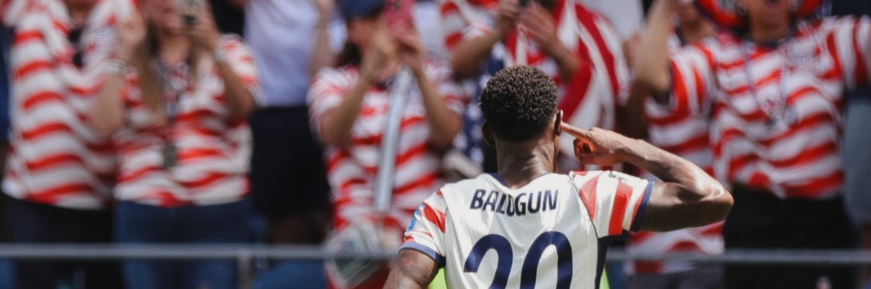 🇺🇸🦆's banner