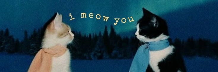 ᴄxɴ ҂​ ᴋᴀᴇᴍ ᴛᴜɪ's banner