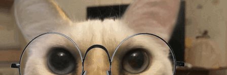 Coastuh's banner